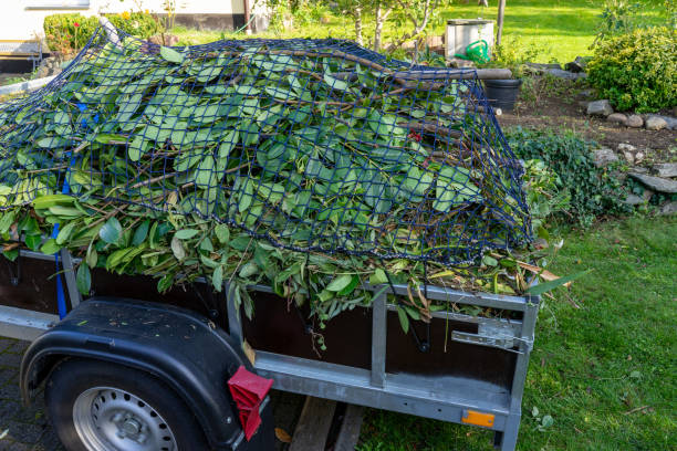 Best Shed Removal  in Barnsdall, OK